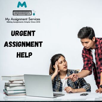 Sydney, Education, Urgent Assignment Help Fast Academic Support For Tight Deadlines