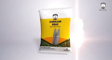 Mumbai, Farm/Garden, Buy Shriram 8860 Hybrid Bajra Seed For Better Yield Performance