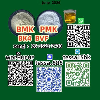 Hong Kong, Businesses For Sale, 5449-12-7  BMK Glycidic Acid Sodium Scientific Chemicals Supplier  28578-16-7 PMK Ethyl Gl