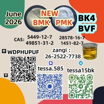Hong Kong, Wholesale Products, 5449-12-7  BMK Glycidic Acid Sodium   28578-16-7 PMK Ethyl Glycidate  Efficient Service