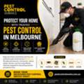 Pest Control Services In Moonee Ponds For Lasting Pest Control | Pest Control Works