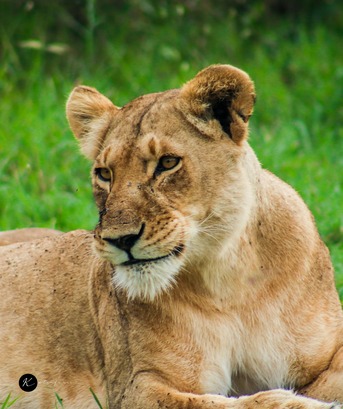 Nairobi, Travel, Discover Kenya