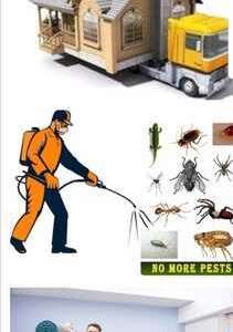HPEST CONTROL&hearts;️SPRAYS&hearts;️And BED BUGS&hearts;️Solution With Guaranteed&hearts;️0575282420