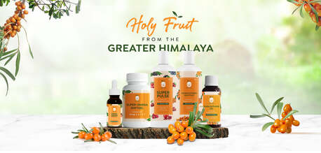 Jaipur, Health, Seabuckthorn Oil