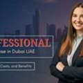 Professional License In UAE For Consultants And Service Businesses
