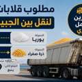 Urgently Required &ndash; 20 Dump Trucks For Long-Term Contract