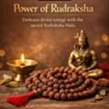 Authentic Rudraksha Shop In Hyderabad