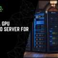 Deploy A GPU Dedicated Server For AI Needs
