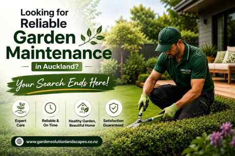 Auckland, Farm/Garden, Looking For Reliable Garden Maintenance In Auckland? Your Search Ends Here
