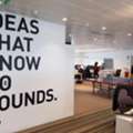 Custom Wall Graphics & Wall Decals In Zephyrhills | Amazing Signs