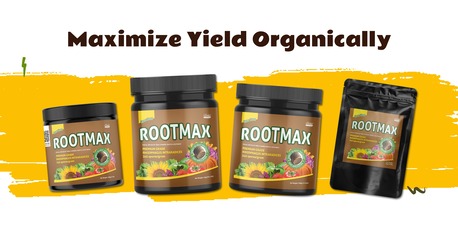 London, Farm & Garden, GBP 14,  Protect Potato Tubers From Root Rot Using Grow Mate Rootmax &ndash; Shop Now