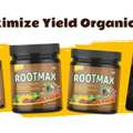 GBP 14,  Protect Potato Tubers From Root Rot Using Grow Mate Rootmax &ndash; Shop Now