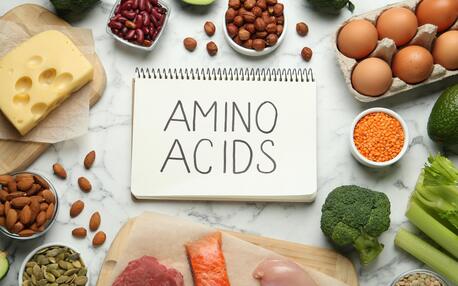 New York, Health, Amino Acid Therapy Ann Arbor For Wellness Support