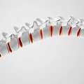 3D Spinal Decompression McKinney TX | Kurv O2 Advanced Chiropractic