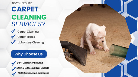 Sydney, Cleaning, Carpet Cleaning Botany &ndash; Deep Cleaning For Fresh, Spotless Carpets