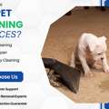 Carpet Cleaning Botany &ndash; Deep Cleaning For Fresh, Spotless Carpets