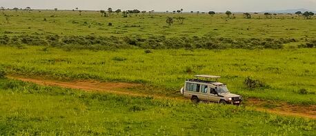 London, Travel, 3 Day Safari Tours In Kenya