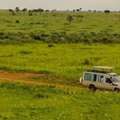 3 Day Safari Tours In Kenya