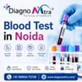 Blood Test In Noida &ndash; Home Sample Collection & Health Checkup