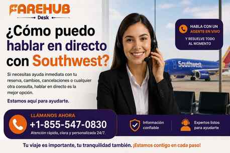 New York, Travel, ¿Cómo Puedo Hablar En Directo Con Southwest?
