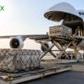 Fast & Reliable Air Freight Services Worldwide | GoGlobex