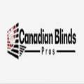 Blinds Toronto - Zebra Blinds & Motorized Blinds
