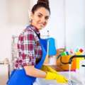 Searching For Domestic Work