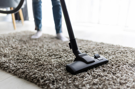 New York, Business, Professional Carpet Cleaning Services In Piscataway