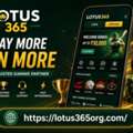 Creating An Account And Lotus 365 Login Process
