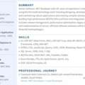 Senior .NET Developer, Full Stack, DevOps Release Manager, Change Manager