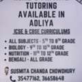 Private Tutoring