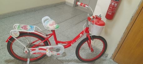 Dammam, Bicycles, SAR 350,  Bicycle Small