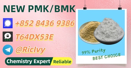 Brisbane, Materials, AUD 200,  Trustworthy Shipping &ndash; No Delays 28578-16-7 P.MK No Drama B.MK 5449-12-7