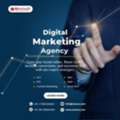 SEO Services In Bangalore | Best SEO Agency In Bangalore – Zinavo