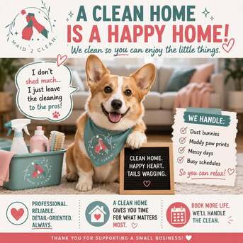 New York, Cleaning, Meet Our Newest Team Member&hellip; This Adorable Corgi!