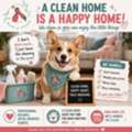Meet Our Newest Team Member&hellip; This Adorable Corgi!