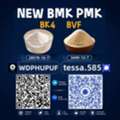 PMK 28578-16-7 Organic Chemicals Supplier High Purity Bulk 5449-12-7