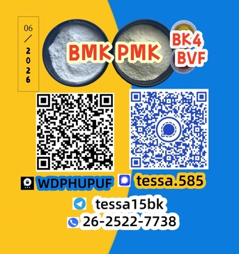 Hong Kong, Wholesale Products, 5449-12-7  BMK Glycidic Acid Sodium Laboratory Chemicals Manufacturer  28578-16-7 PMK  145