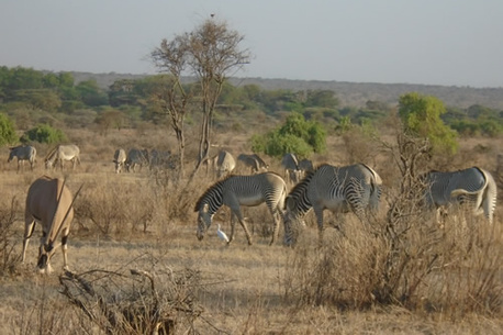 Dar es Salaam, Travel, Best Tanzania Safari Tours