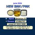 CAS: 28578-16-7,New P.MK Powder/Oil CAS: 5449-12-7, CAS: 1451-82-7, CAS: 49851-31-2, With