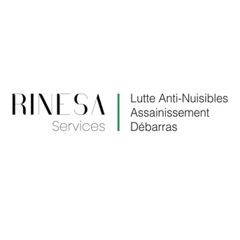 Paris, Business, Rinesa Services