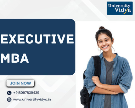 Mumbai, Education, Professional Fast-Track Summary For An Executive MBA
