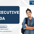 Professional Fast-Track Summary For An Executive MBA