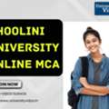 Software Masters Paths: Shoolini University Online MCA