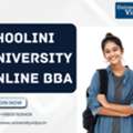 Undergrad Summary For Shoolini University Online BBA