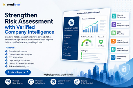 New Delhi, Financial, Risk Intelligence: Turning Data Into Actionable Risk Insights