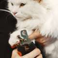 Professional Pet Care Vet Clinic | First Vet