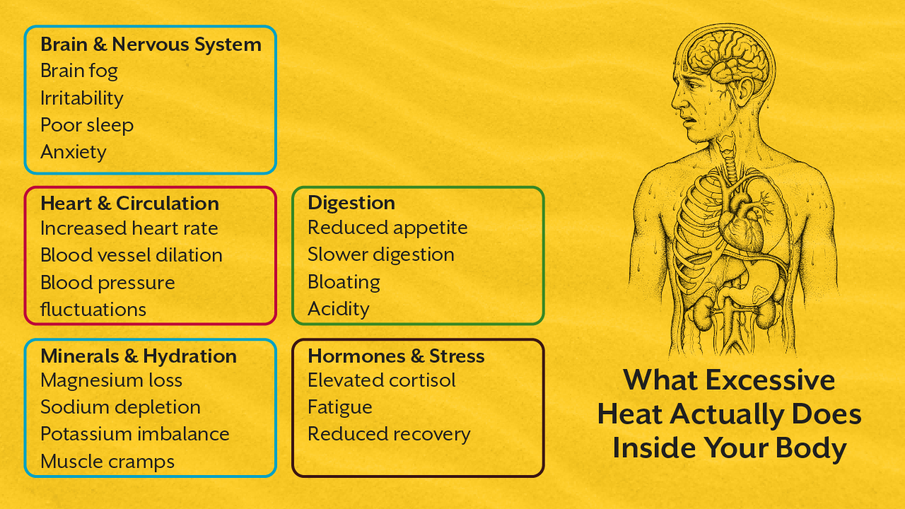 Pune, Guest Posting, Heat Stress, Inflammation, And Cortisol: The Hidden Connection Most People Miss