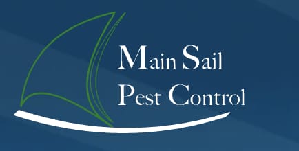 New York, Business, Main Sail Pest Control