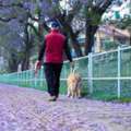 Dog Walkers In Surat